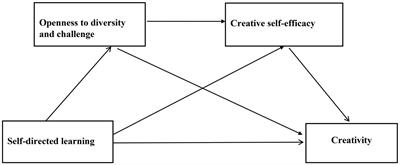 Direct and indirect effects of self-directed learning on creativity in healthcare undergraduates: a chain mediation model of openness to challenge and diversity and creative self-efficacy